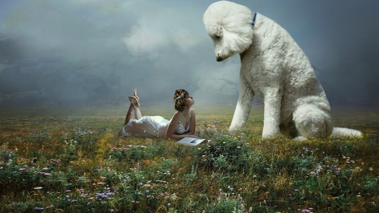 Strategi Imigrasi untuk Mendorong Investasi di Bengkulu Tengah