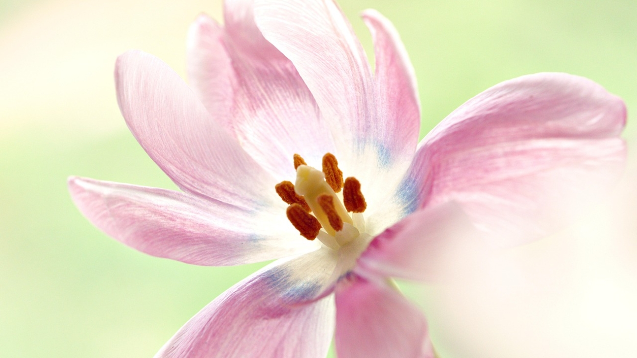 Hubungan Antara Imigrasi dan Pembukaan Lapangan Kerja di Bengkulu Tengah