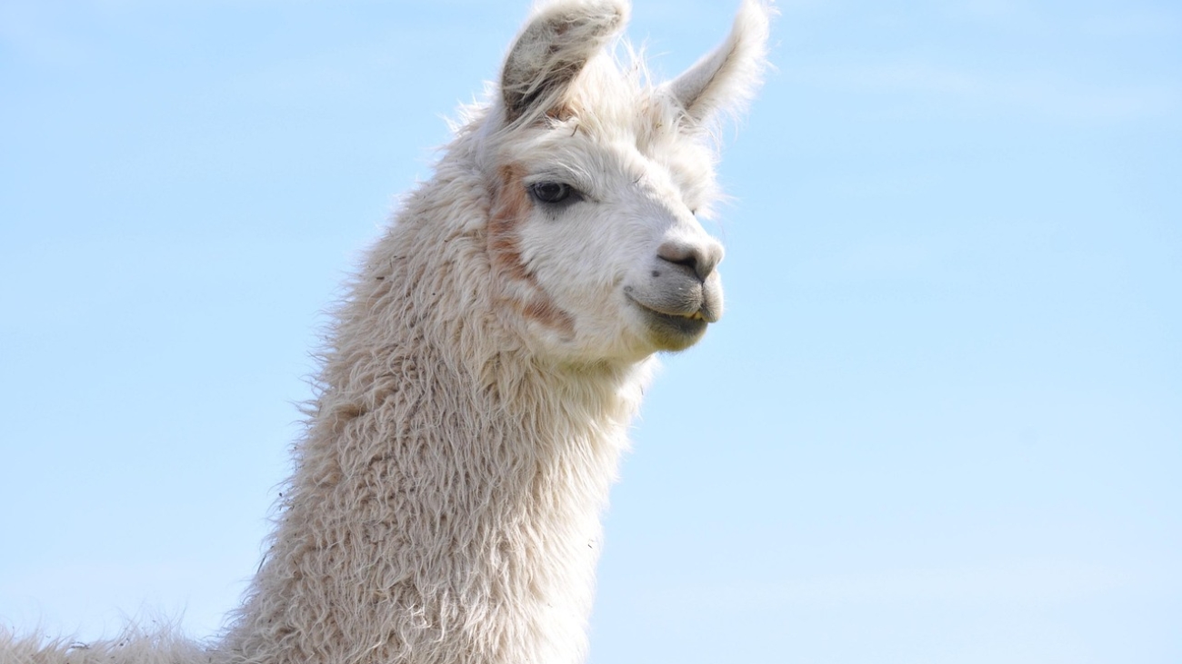 Imigrasi dan Pertumbuhan Sektor Pertanian di Kabupaten Bengkulu Tengah