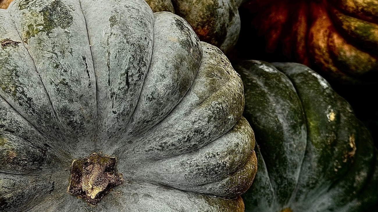 Pengaruh Kebijakan Imigrasi terhadap Pertumbuhan Ekonomi di Bengkulu Tengah